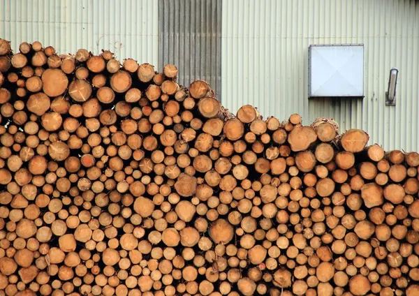 Pile of pinewood timber with building in background