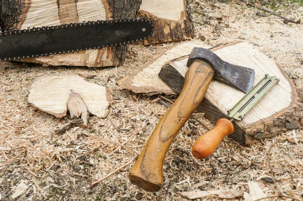 Axe and chainsaw file