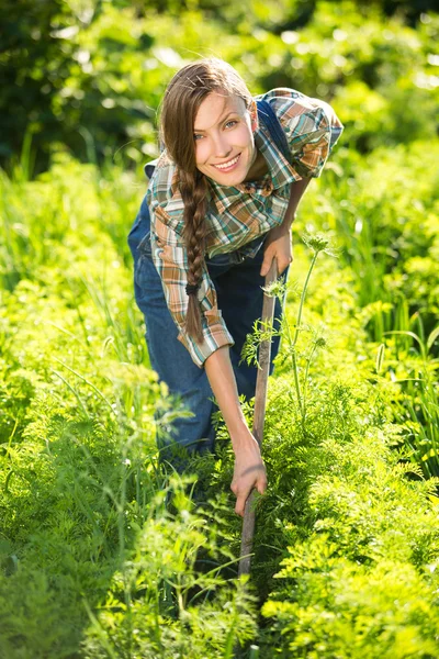 Garden work