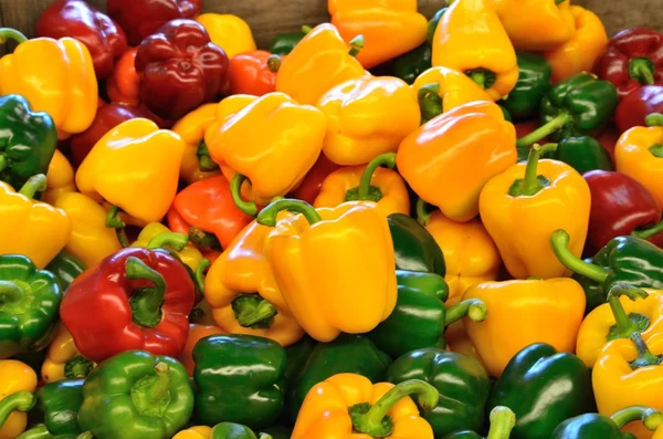 Yellow peppers, green and red