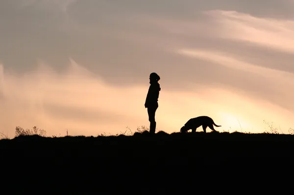 Young woman and dog silhouette