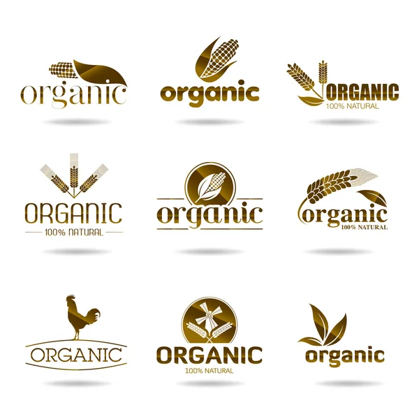 Ecology, organic icon set. Organic-icons