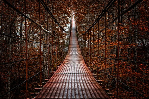 Long Steel Suspension bridge in the forest