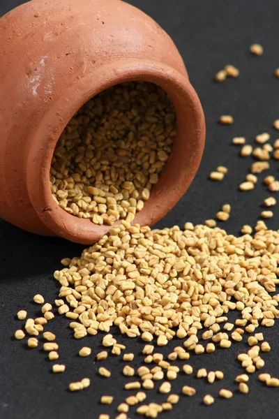 Fenugreek is used both as an herb (the leaves) and as a spice (the seeds)