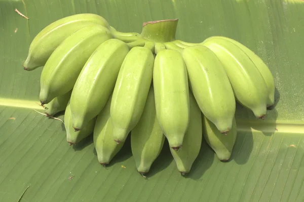 Green banana over banana leaf