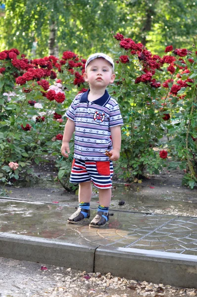 Small boy on background of the roses