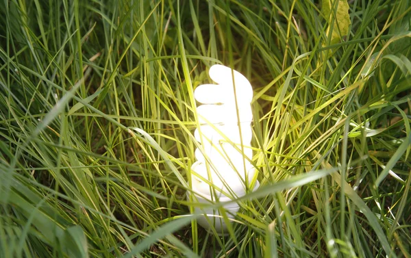 Bright Light Bulb in grass