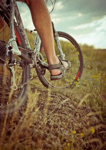 Cyclist riding