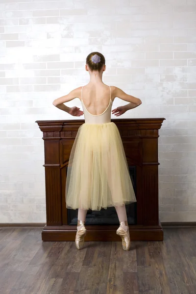 Studio portrait of an attractive young ballerina