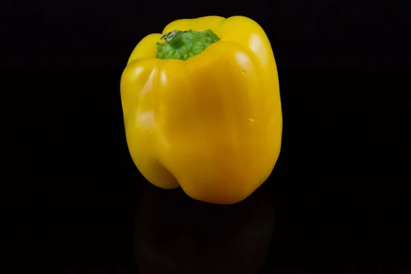 Colorful bell pepper isolated
