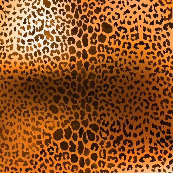 Fashionable leopard print