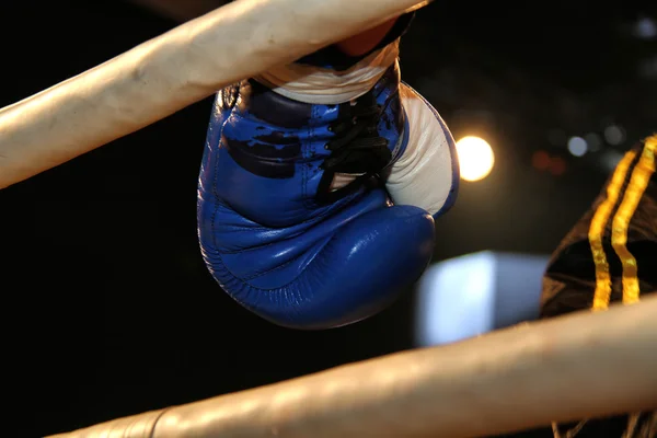 Boxing gloves during a professional boxing match