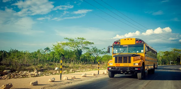 Yellow bus on the Rural road in Dominican Republic