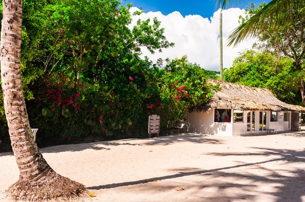 Tropical beach house