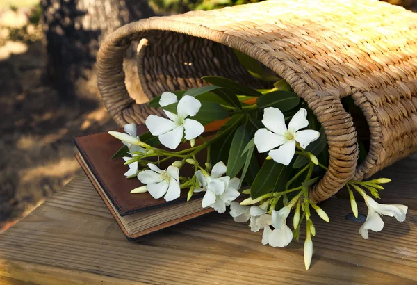 Little White flowers in basket
