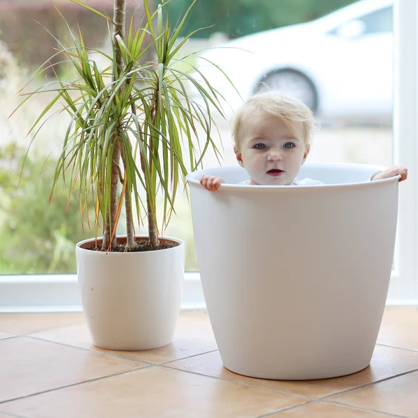 Baby girl sitting inside big flower pot