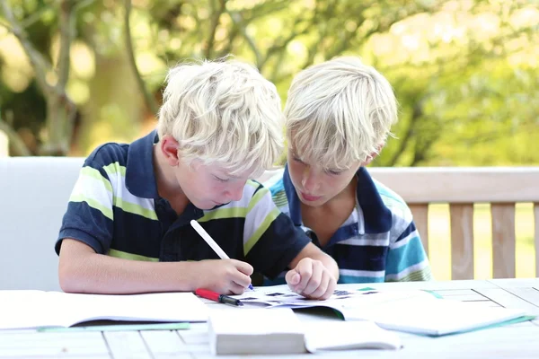 Twin brothers doing together homework