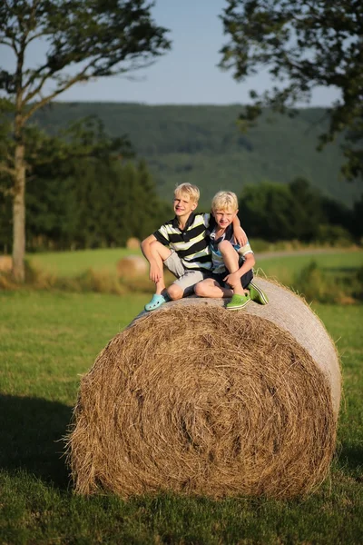 Twin brothers on top of the hay bale