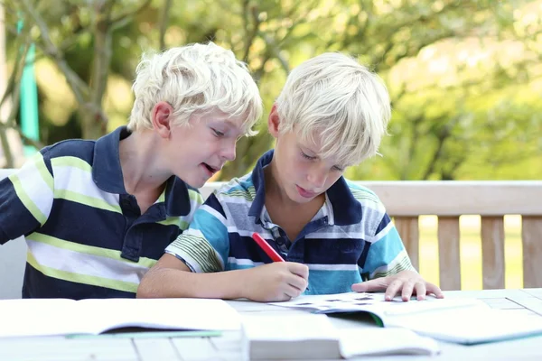 Twin brothers doing together homework