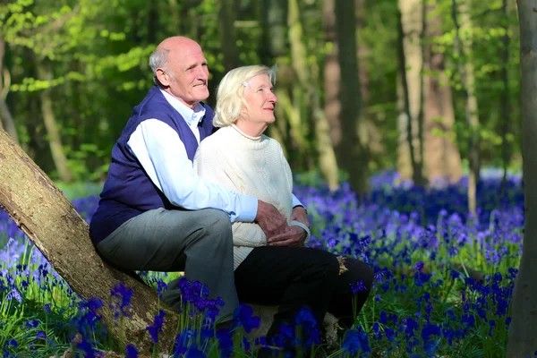 Senior couple relaxing in forest
