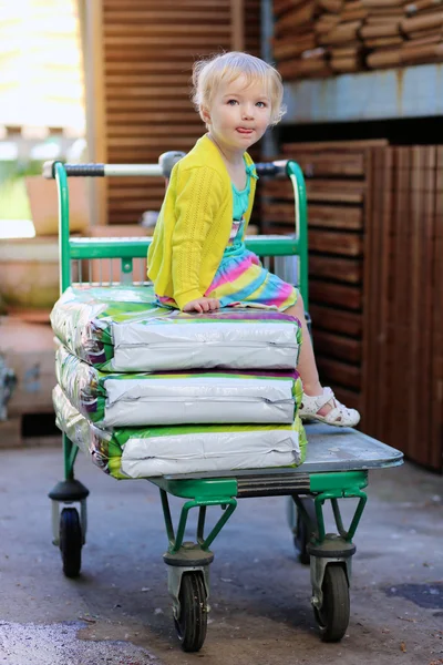 Little funny girl sitting in shopping cart at garden hypermarket
