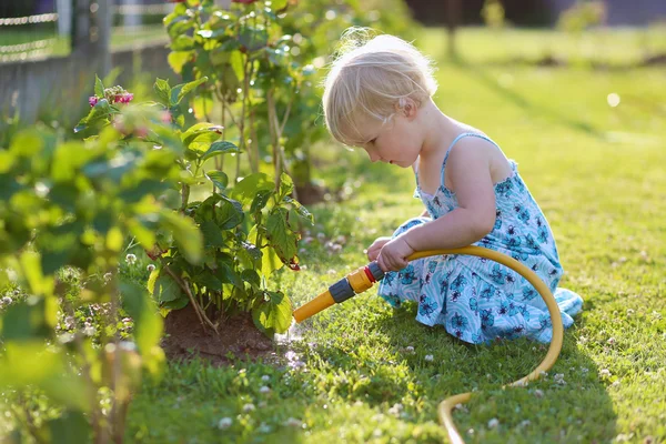 Cute little girl watering flowers in the garden using spray hose