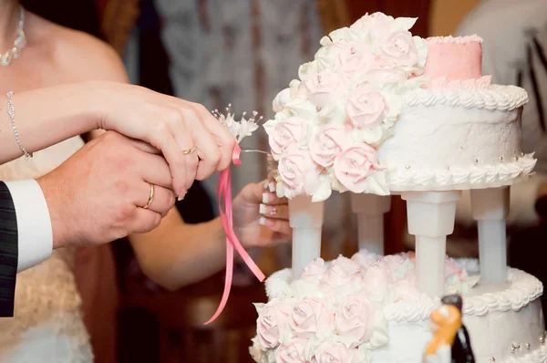 Newlyweds cutting cake