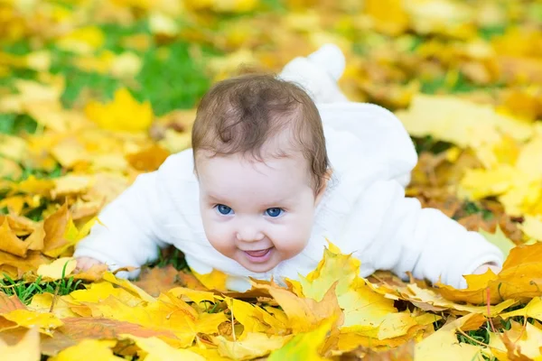 Baby girl playing in an autumn park
