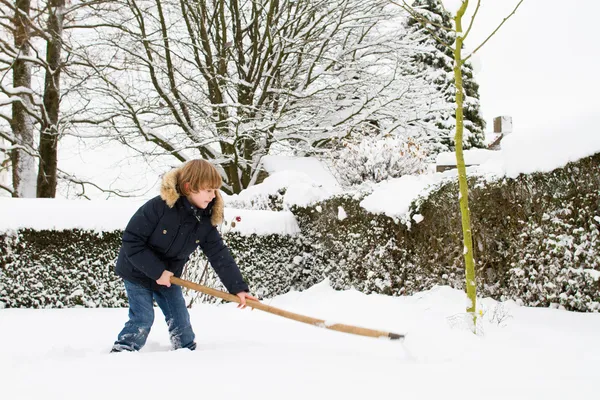 Boy shoveling snow in a garden