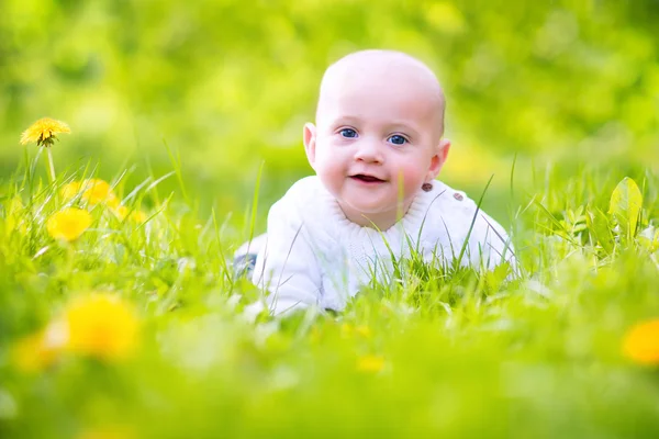 Cute baby in a blooming spring apple garden