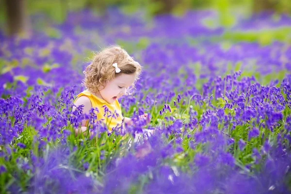 Cute toddler girl in bluebell flowers in spring