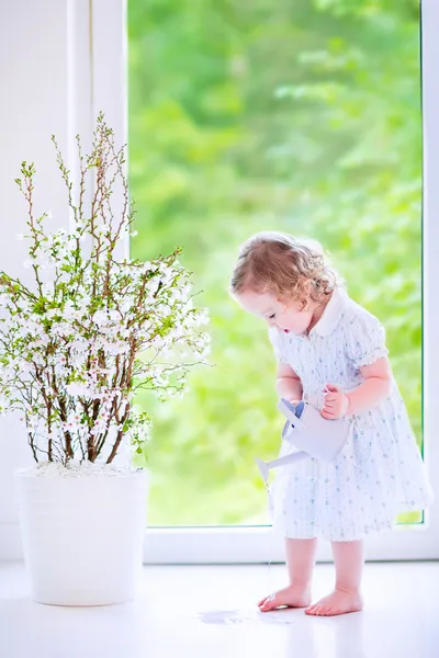 Little girl watering flowers at home