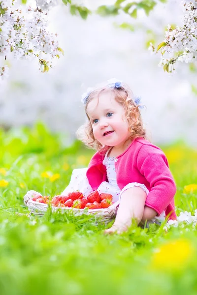 Toddler girl eating strawberry in blooming garden