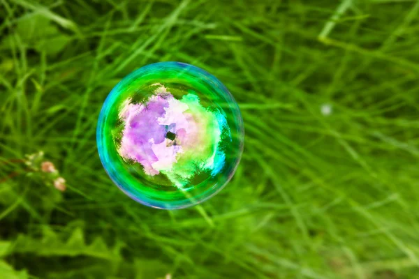 World in the soap bubble.