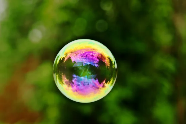 World in the soap bubble.