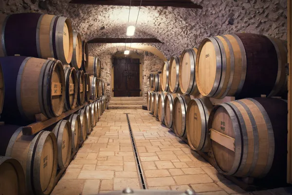 Ancient wine cellar