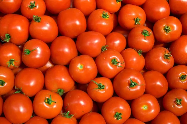 Tomato background