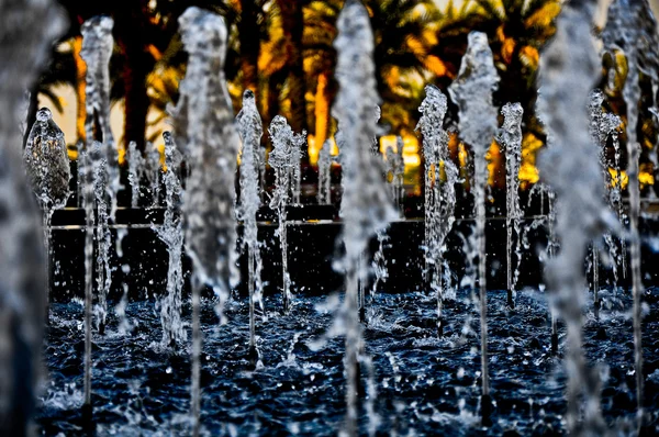 Water Fountain in an Outdoor park. Flowing water with small fountain