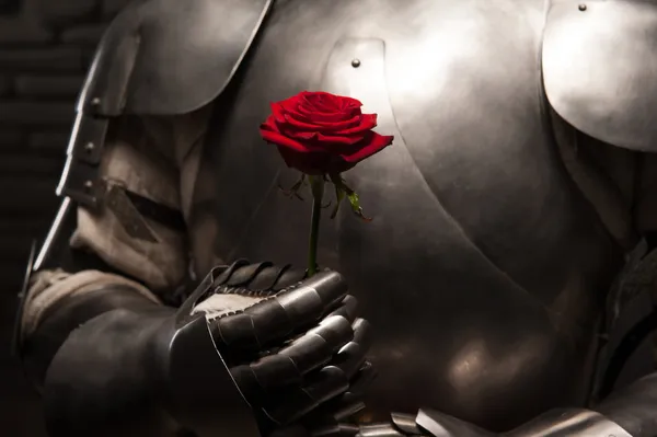 Knight in armor holding red rose