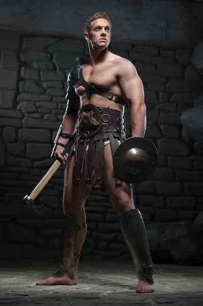 Gladiator with shield and axe