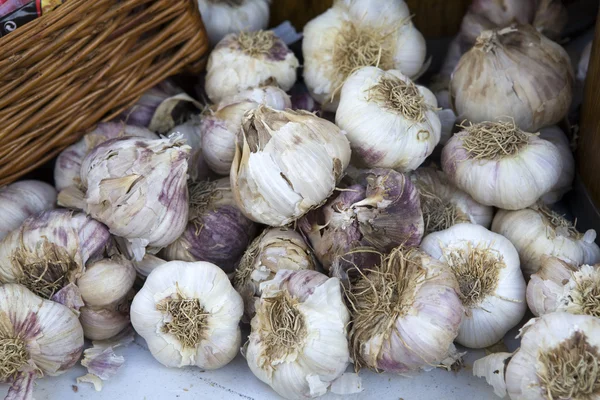 Fresh Garlic Bulbs