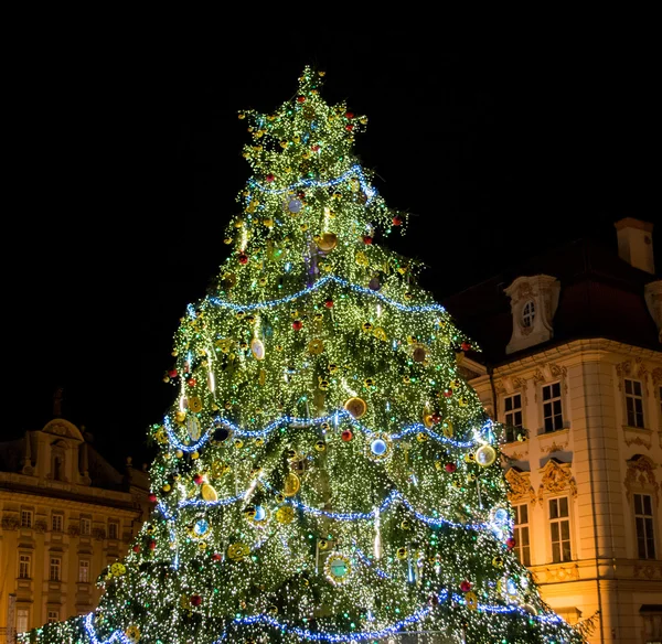 Christmas tree with building in background on Old Town Square