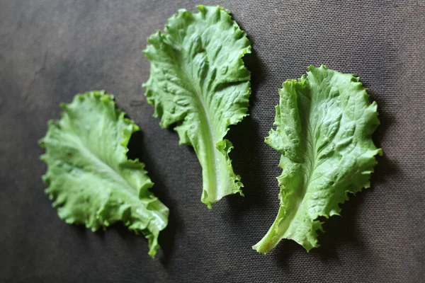Lettuce, leaves of lettuce