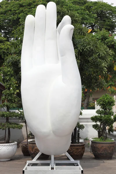 White buddha hand