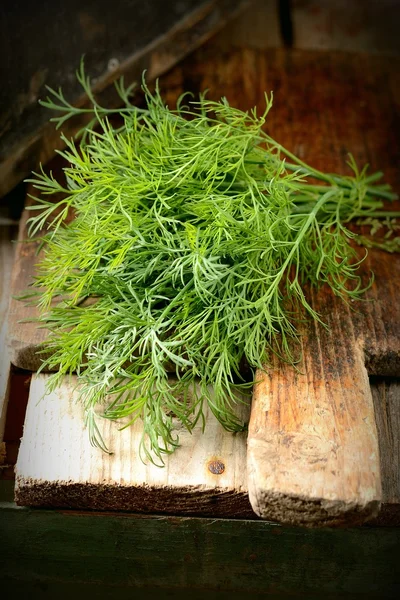 Bunch of fresh fennel on wooden board