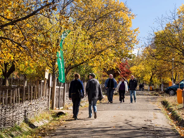 TBILISI, GEORGIA - OCTOBER 10, 2013: People walking in the park in the Ethnographical Museum in Tbilisi, Georgia. Many of the city\'s cultural events are held in the park