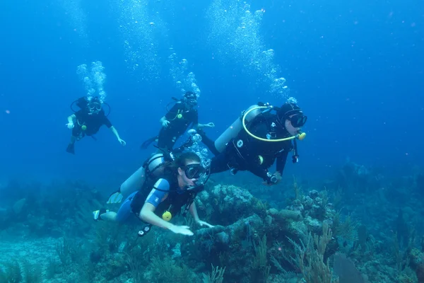 Divers in caribbean sea