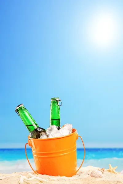 Beer bottles in a bucket of ice