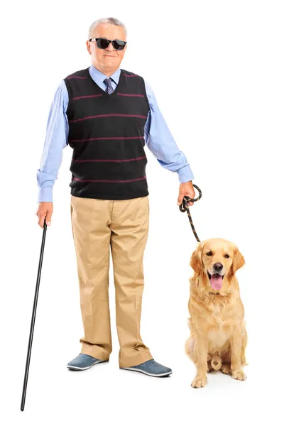 Blind person and dog