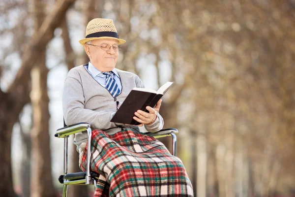 Senior man reading a book in park